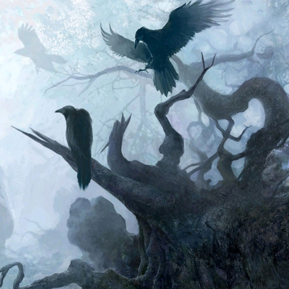 Meet your Posher, Sheena